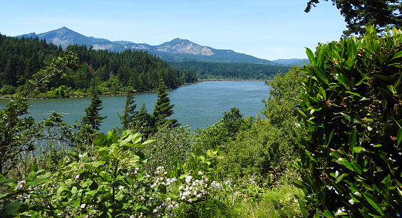 Columbia River Gorge Scenic Area, Oregon - United States