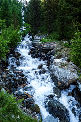 In the high mountains in the South Tyrol region there are numerous streams and waterfalls with clear, fresh waters that arise from the melting of glaciers.