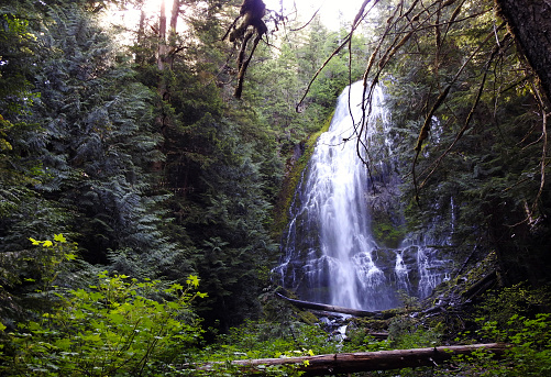 Proxy Falls, Columbia River Gorge Scenic Area, Oregon - United States