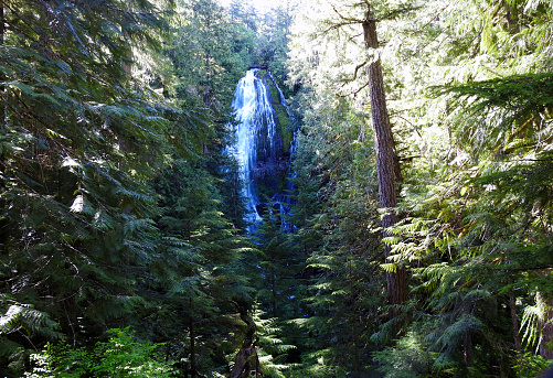 Proxy Falls, Columbia River Gorge Scenic Area, Oregon - United States