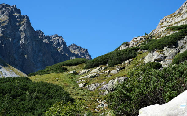 istock Breathtaking mountain landscape, hiking concept 2052716266