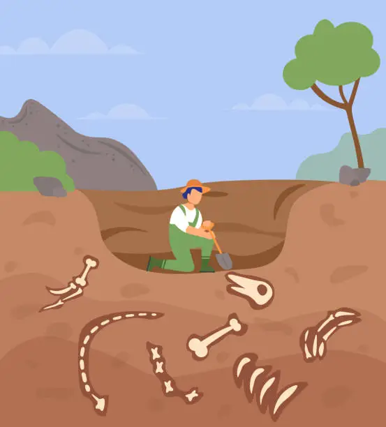 Vector illustration of Cartoon female archaeologist excavating a dinosaur underground in a hole in an nature