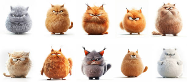 Collection of different cats emoji set, on white background. Stickers
