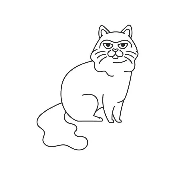 Vector illustration of The cat ragdoll is standing color element. Cartoon cute animal.