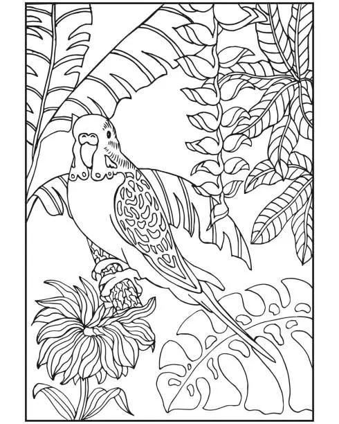 Vector illustration of Coloring book for children and adults, parrot bird on a background of tropical leaves. Illustration, sketch