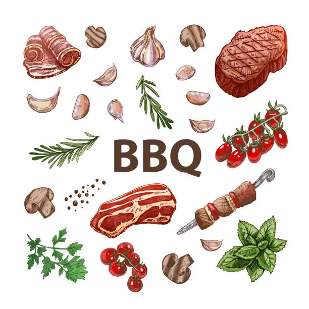 Vector illustration of Set of hand-drawn colored sketches of barbecue elements. For the design of the menu of restaurants and cafes, grilled food. Doodle vintage illustration. Engraved image.