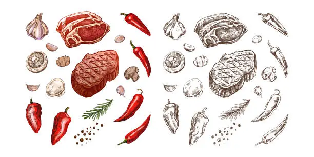 Vector illustration of Set of hand-drawn colored and monochrome sketches of barbecue elements. For the design of the menu of restaurants and cafes, grilled food. Pieces of meat and vegetables with seasonings.