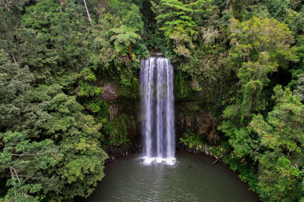 mila wasserfälle - tropical rainforest waterfall rainforest australia stock-fotos und bilder