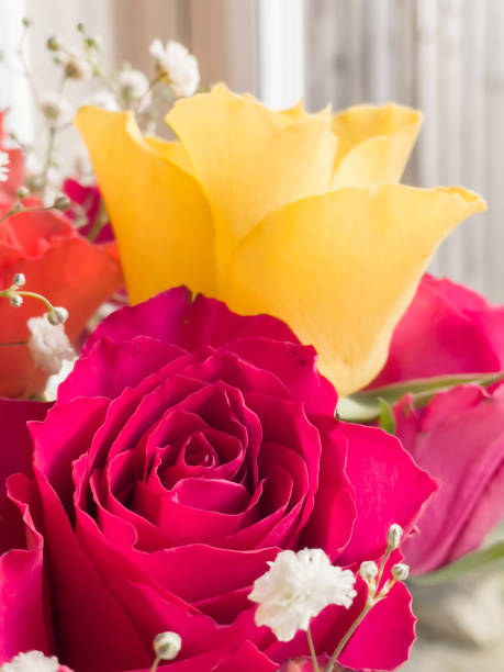 vase avec bouquet de belles roses fraîches près de la fenêtre, gros plan - store flower bouquet florist photos et images de collection