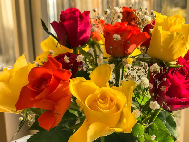vase avec bouquet de belles roses fraîches près de la fenêtre, gros plan - store flower bouquet florist photos et images de collection
