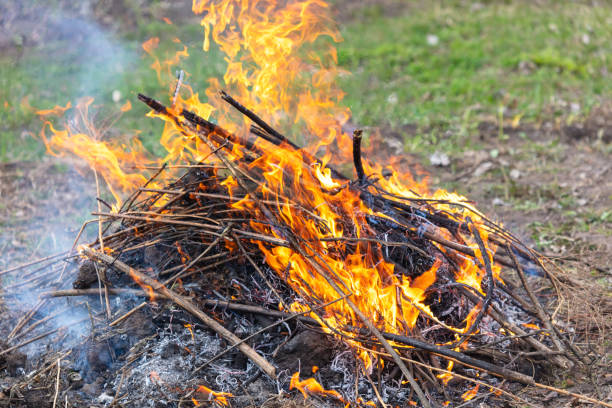 istock Burning firewood in a campfire, close-up 2052839263