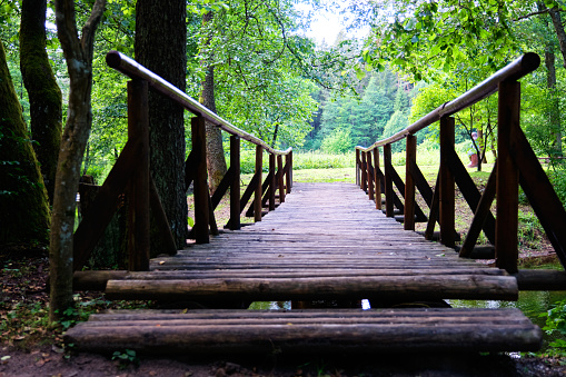 A wooden bridge over a stream towards the forest