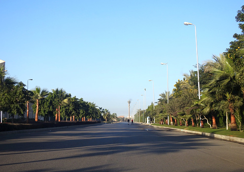 Cairo, Egypt, December 16 2023: New Cairo city street with green areas on both sides of pavements, grass, trees and palm trees,  New Cairo is a satellite city within the metropolitan area of Cairo, selective focus