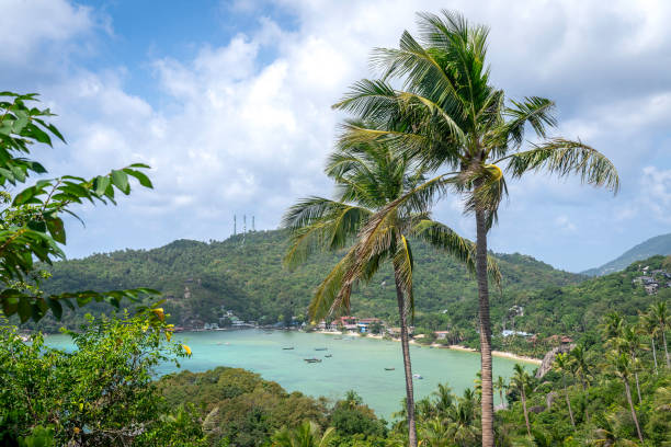 A rear-view shot of a young woman sitting at the John Suwan Viewpoint admiring the view Koh Tao Thailand