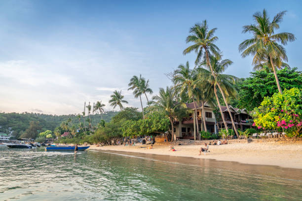 Beautiful white sand beach  in Koh Tao, Thailand