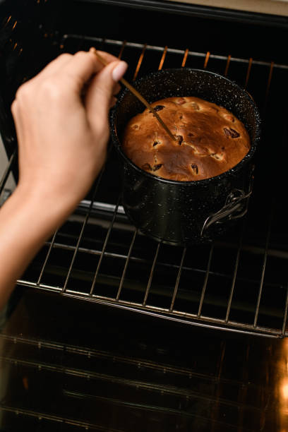 istock Easter menu being prepared in the oven for a special gathering. 2052953530
