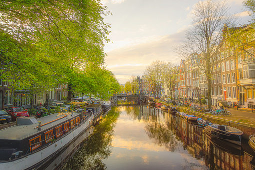 A breathtaking scene unfolds as the sun casts its golden light over the picturesque canals of Amsterdam on a serene spring day. The iconic dancing houses, canal boats, and vibrant green trees create a harmonious backdrop against the tranquil waters. Parked bicycles line the cobblestone streets, adding to the city's charming allure.