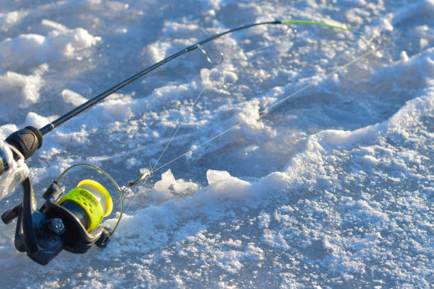 Ice fishing fresh fish trout, winter activities, and ice fishing equipment stock photo