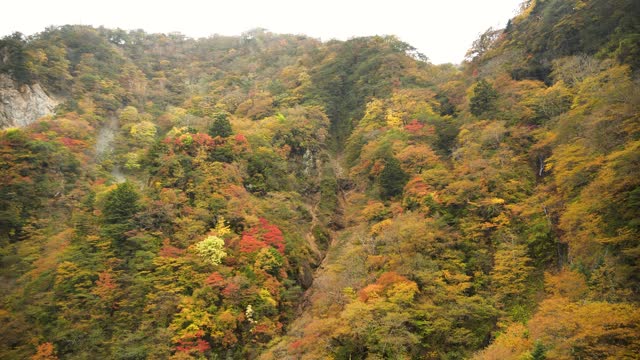 Beautifully colored Japanese nature in autumn around Nikko, Japan