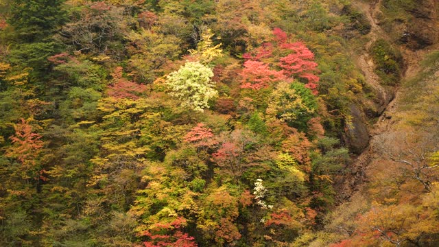 Beautifully colored Japanese nature in autumn around Nikko, Japan