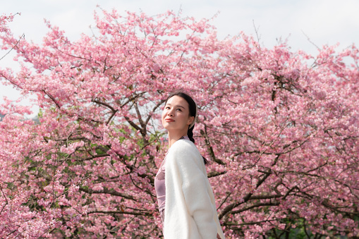 Asian beauty enjoying nature time under cherry blossom tree