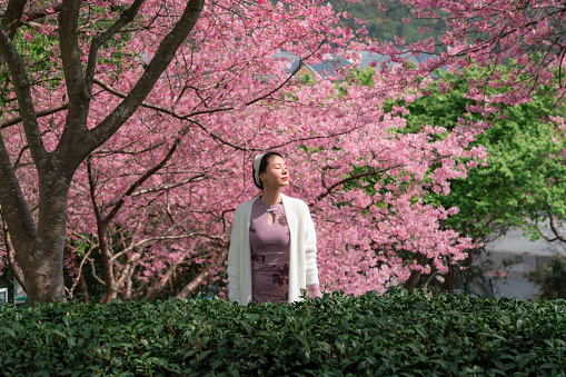 Asian beauty enjoying nature time under cherry blossom tree