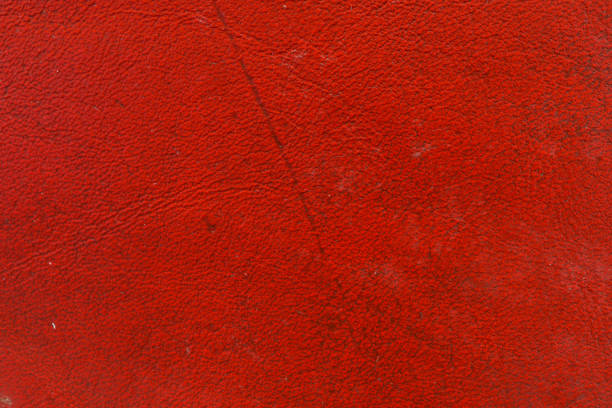 istock A bold and vibrant red textured wall, providing a detailed and colorful backdrop for creative designs. 2053044984