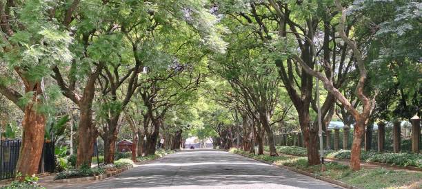 istock Picturesque Street 2053053308