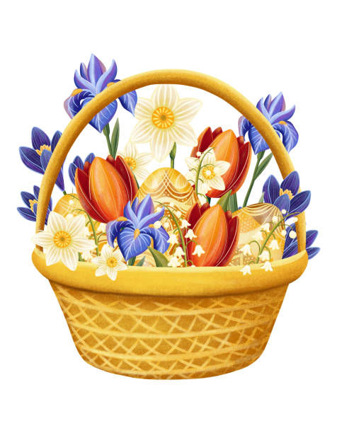 illustrazioni stock, clip art, cartoni animati e icone di tendenza di cesto di pasqua con fiori e uova, su sfondo bianco illustrazione, tulipano, iris, narciso, modello per il design e la decorazione, poster - easter traditional culture backgrounds basket