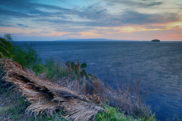 Wild coastal grasses framing turquoise Mediterranean sea with distant mountain silhouettes