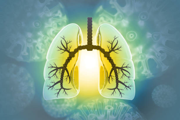 istock Virus and bacteria infected the Human lungs. lung disease.3d illustration 2053060713