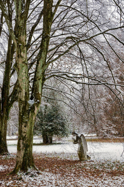 A quiet black-and-white winter park scene shows a snow-covered path lined with bare trees, benches, and a gazebo to the right. The tranquil setting evokes solitude and calm. Ideal for seasonal, outdoor, or nature themes, with a timeless monochrome mood suitable for editorial and stock photography.