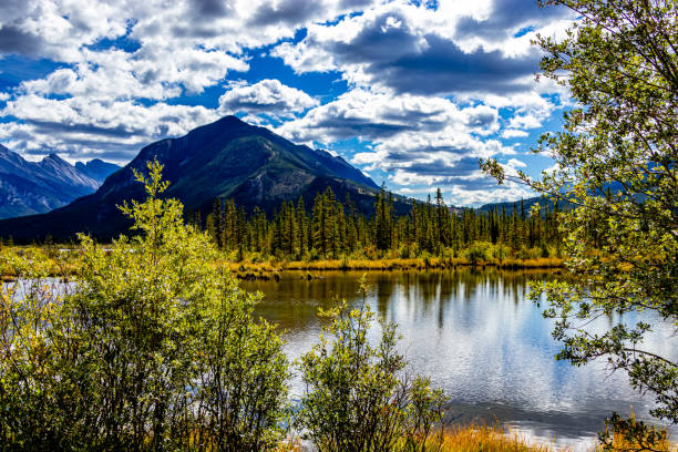 Rundle Mountain from Vermillion Lakes Banff National Parks Alberta canada