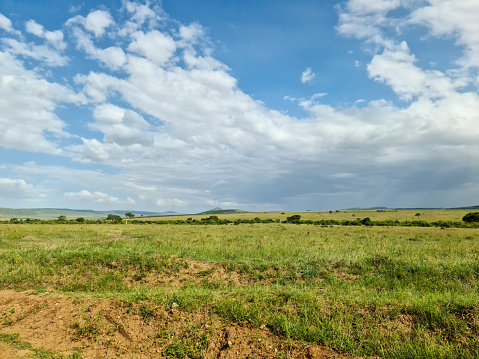 Typical savannah landscape in the heart of Africa during the rainy season