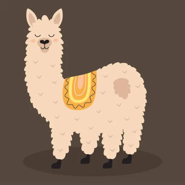 Vector illustration of vector illustration with cute llama