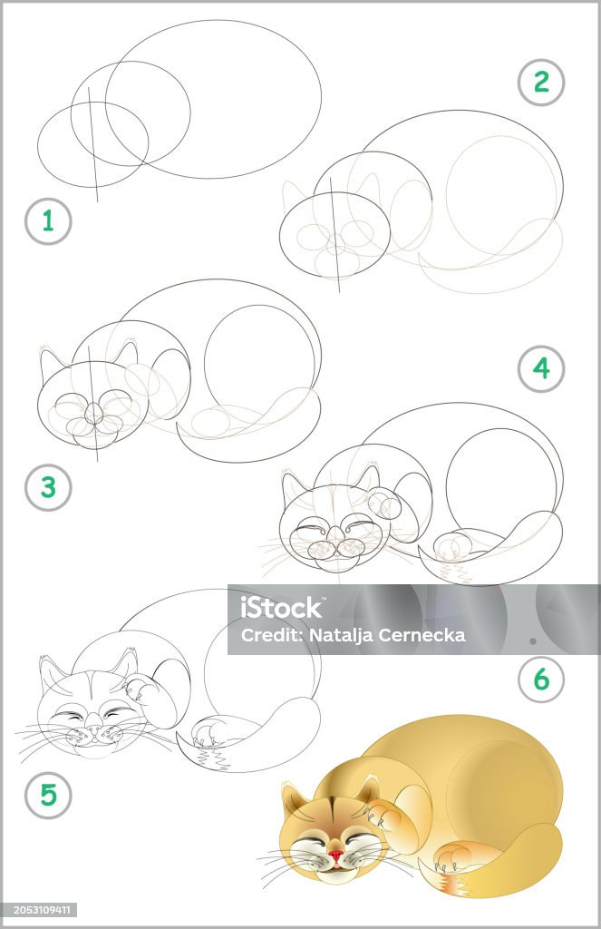 Page Shows How To Learn Step By Step To Draw A Sleeping Cat Developing Children Skills For Page Shows How To Learn Step By Step To Draw A Sleeping Cat Developing Children Skills For