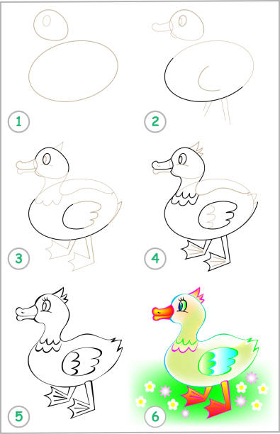 strona pokazuje, jak krok po kroku nauczyć się rysować małą kaczuszkę. rozwijanie umiejętności rysowania i kolorowania u dzieci. obraz wektorowy. - stepwise stock illustrations