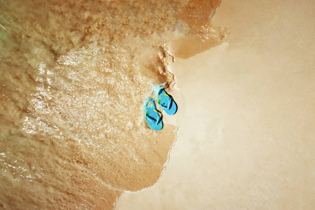 Flip-flops isolated on blue background