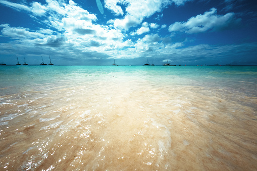Nature Landscape View of Beautiful Tropical Beach and Sea in Sunny Day. Beach Sea Space Area