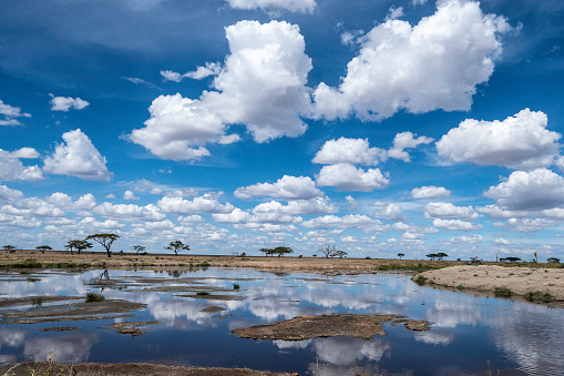 Serengeti, Tanzania, October 27, 2023. Beautiful landscape reflected in the water