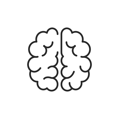 Brain icon. Top view of brain structure simple line icon isolated on white background. Vector illustration