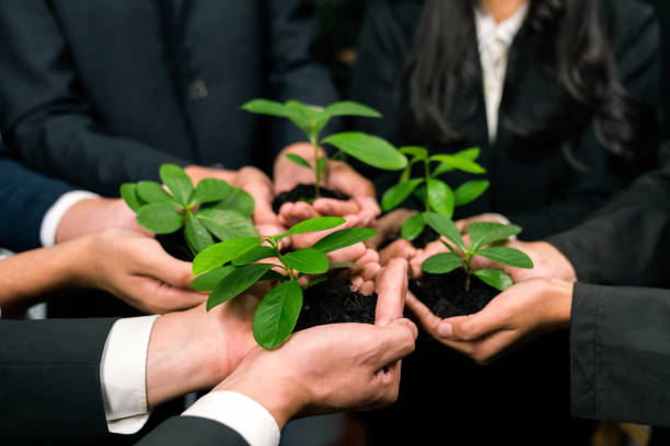 istock Eco-friendly business investment on forest regeneration. Quaint 2053149573