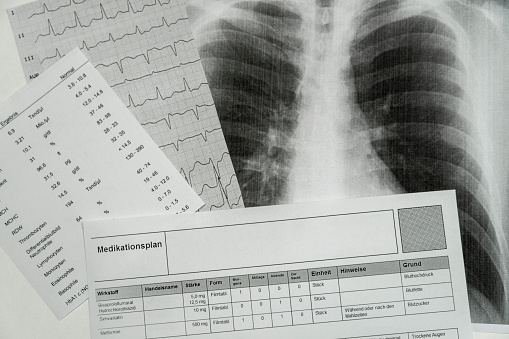 X-ray examination results, ECG and blood values, medication plan, horizontal