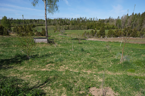 Farm on a sunny day in spring in Skaraborg Sweden