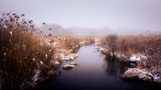 Stream cutting through natural wetlands on a very foggy winter day
