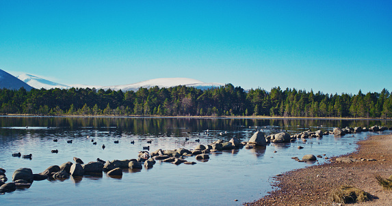 Loch Morlich on a spring day in the Cairngorms National Park, Scotland