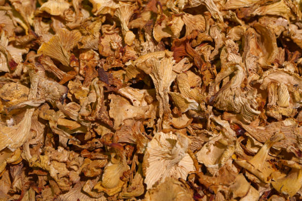 istock Dried sliced chanterelle mushrooms 2053206977