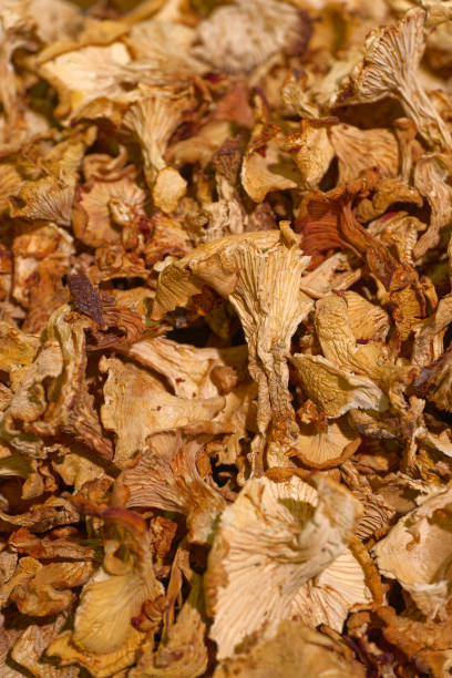 istock Dried sliced chanterelle mushrooms 2053219100