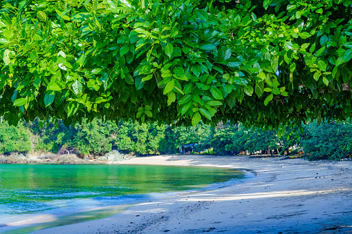 Tranquility of beach with lush green trees over a sandy beach. In the background, there is a blue sky with white clouds in Tulungagung, East Java, Indonesia.