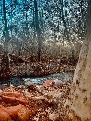 Cold creek water flowing through the forest. Fall and winter colors tan, brown, rust, orange, fall leaves